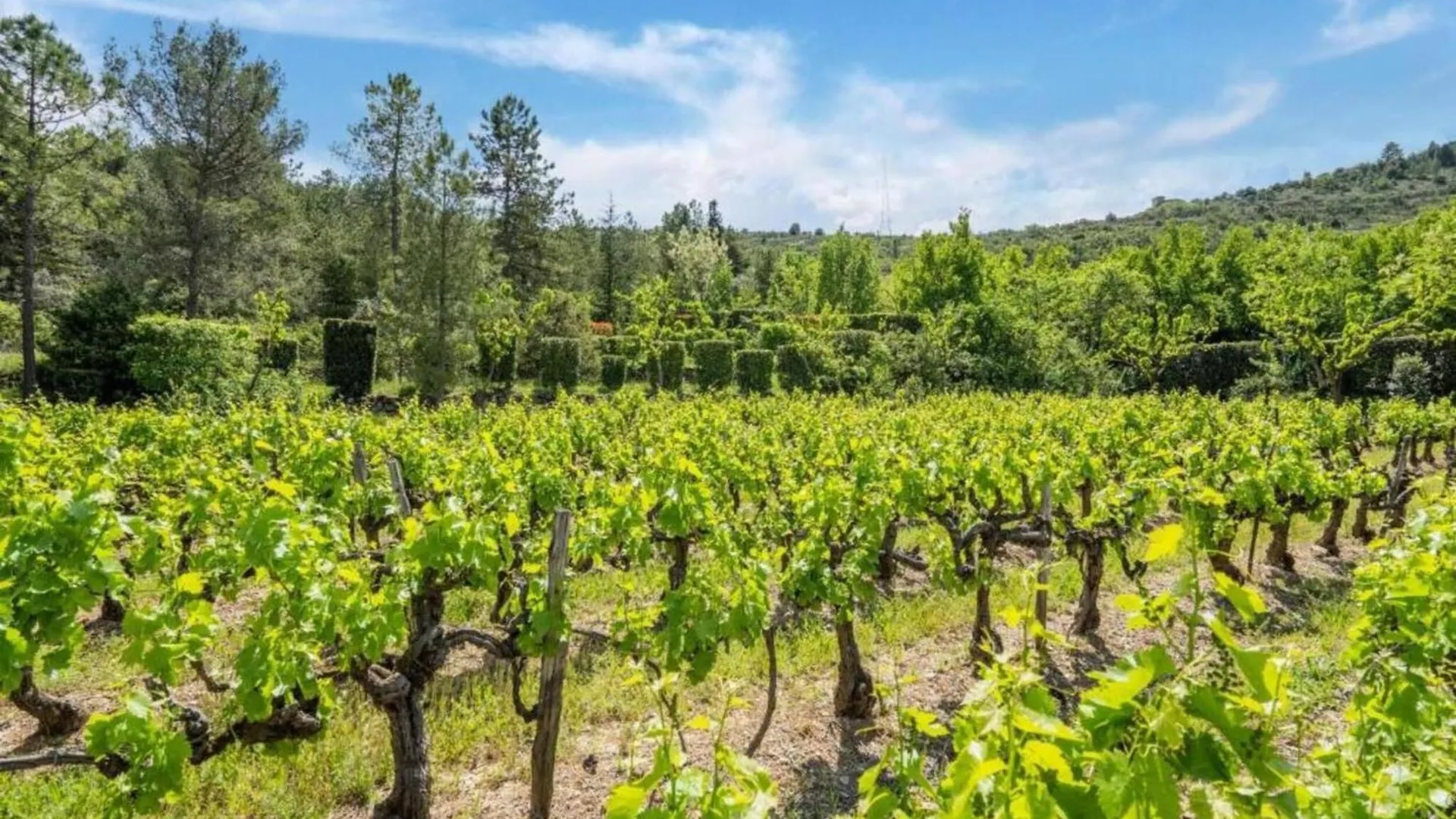 Holiday Home In The South Of France 莱旺